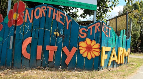 northey st markets