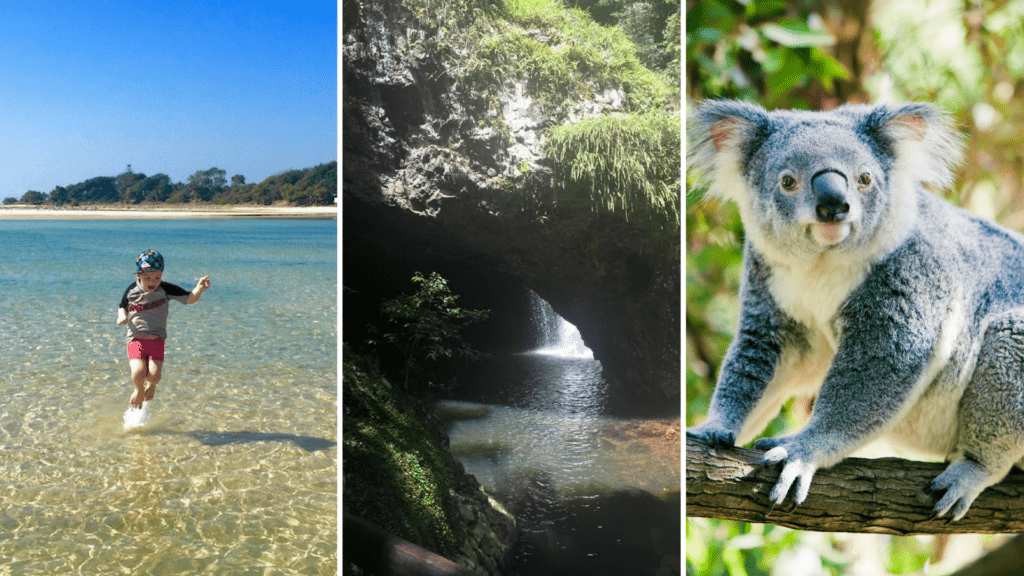 Things to do on the Gold Coast with kids