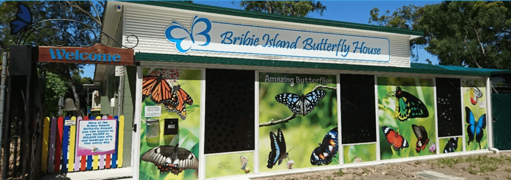 Bribie Island Butterfly House