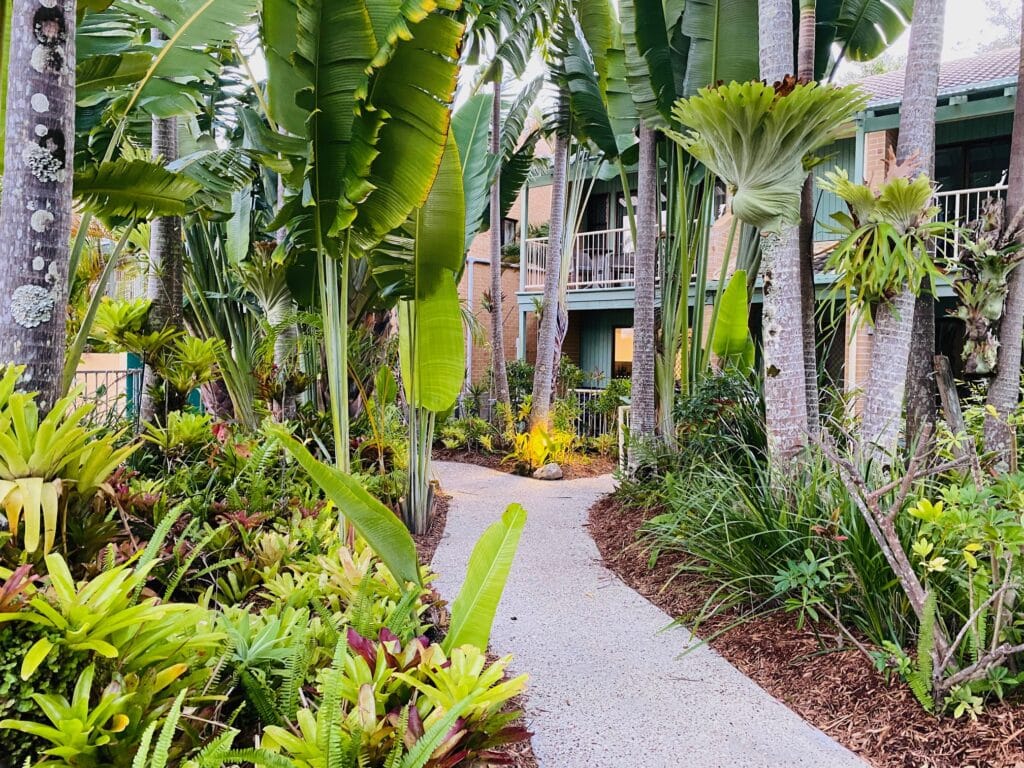 25 Things to do in Noosa with Kids in 2024, accommodation