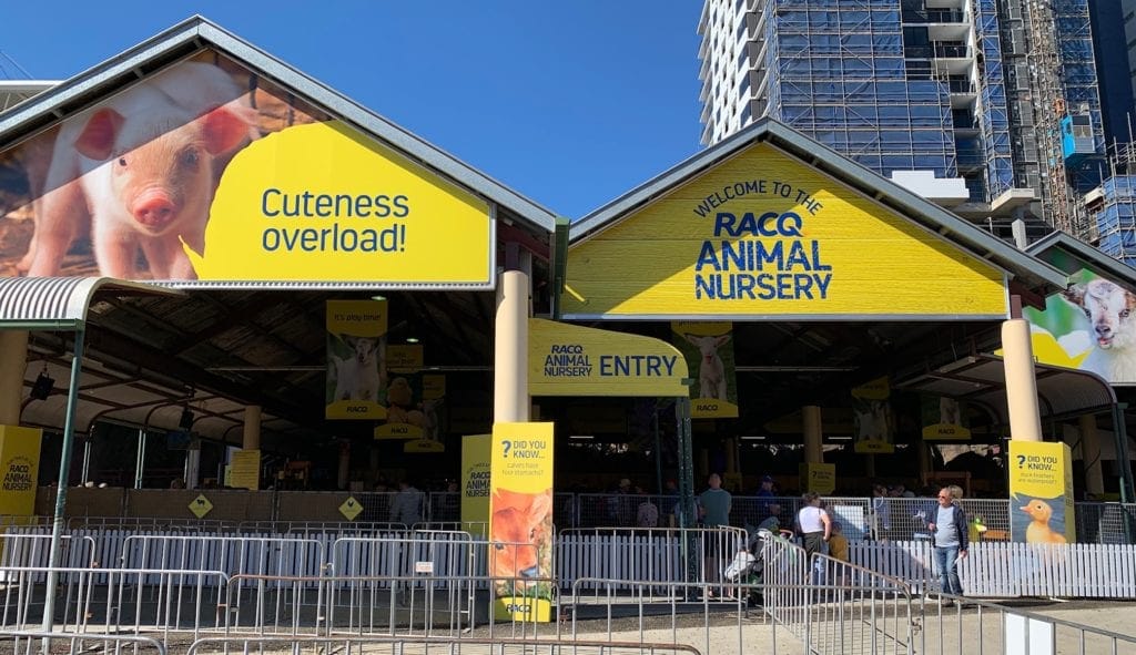 RACQ Animal Nursery Ekka