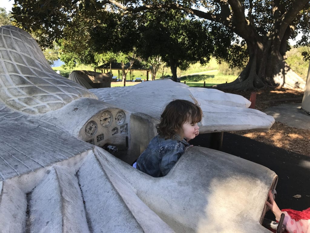 minnippi parklands feature plane