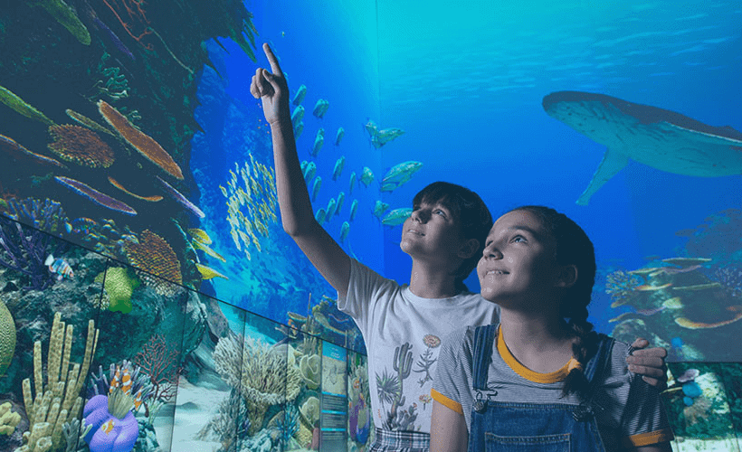 The BEST list of FREE School Holiday Activities Brisbane Northside