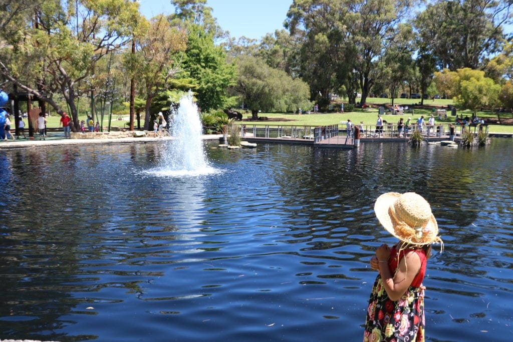 favourite playgrounds kings park