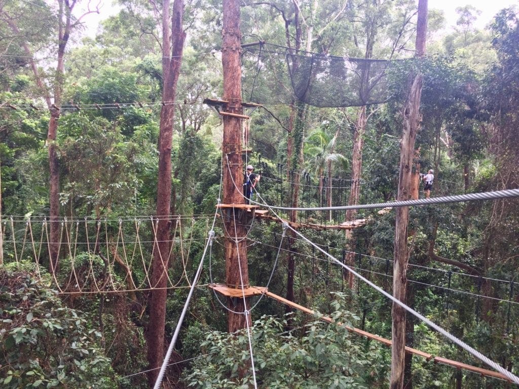 Treetop Challenge