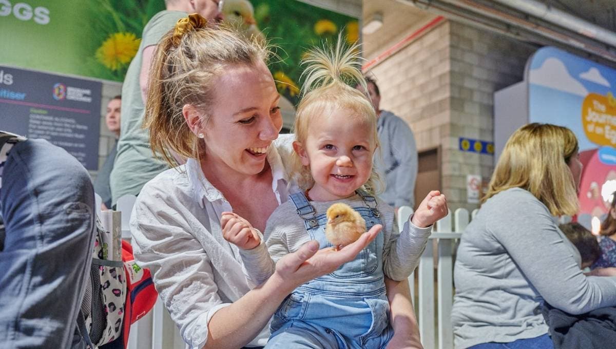 EKKA for Toddlers is so much fun!