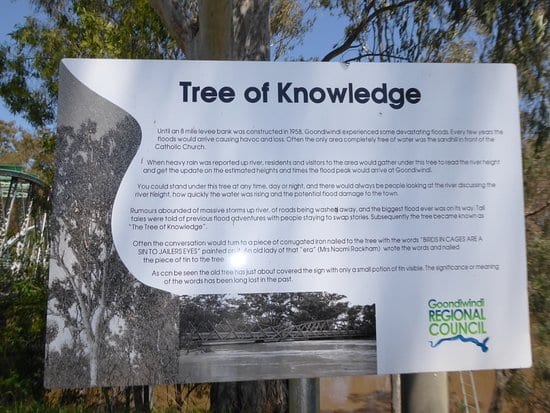 Goondiwindi Tree of Knowledge