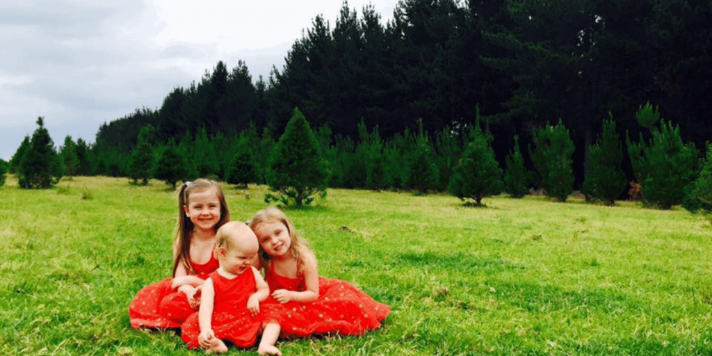 Buy a real Christmas Tree Gold Coast, Tweed Heads or Byron Bay 2024