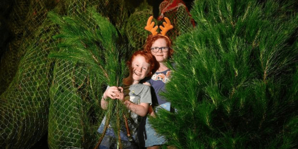 Kids in xmas tree