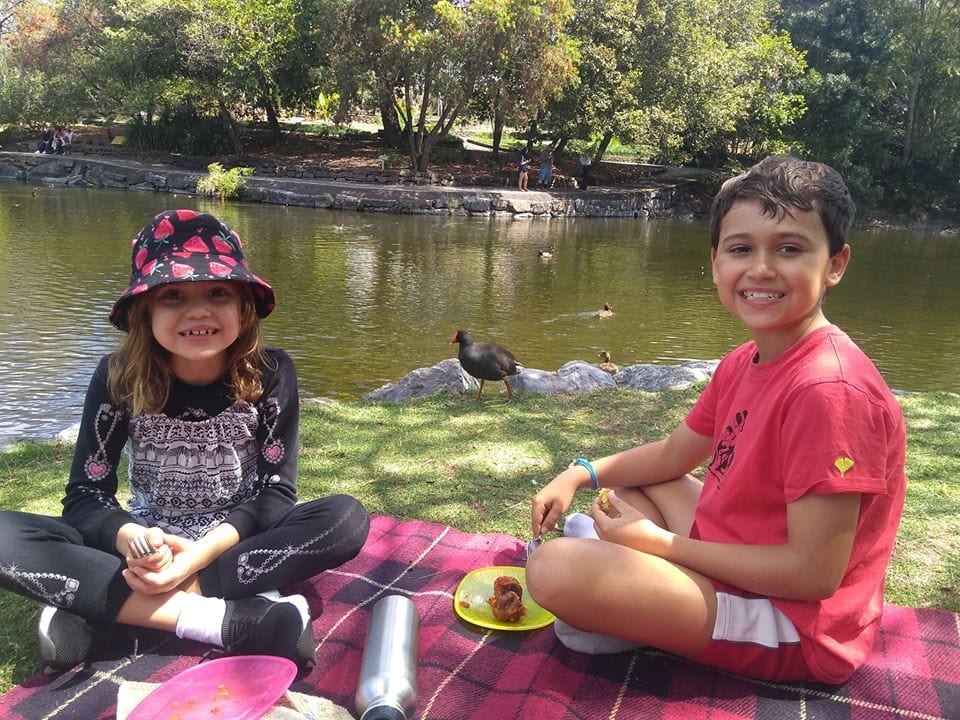 Mt Cootha Botanical Garden best picnic spots in Brisbane