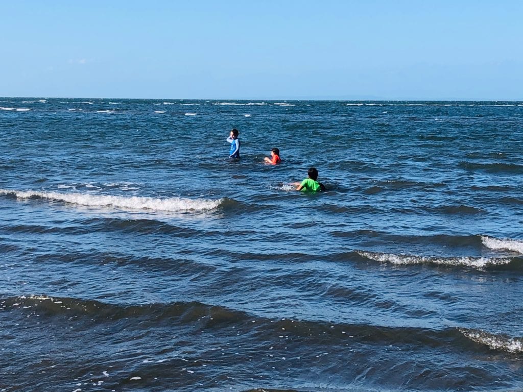 swimming at Nudgee Beach