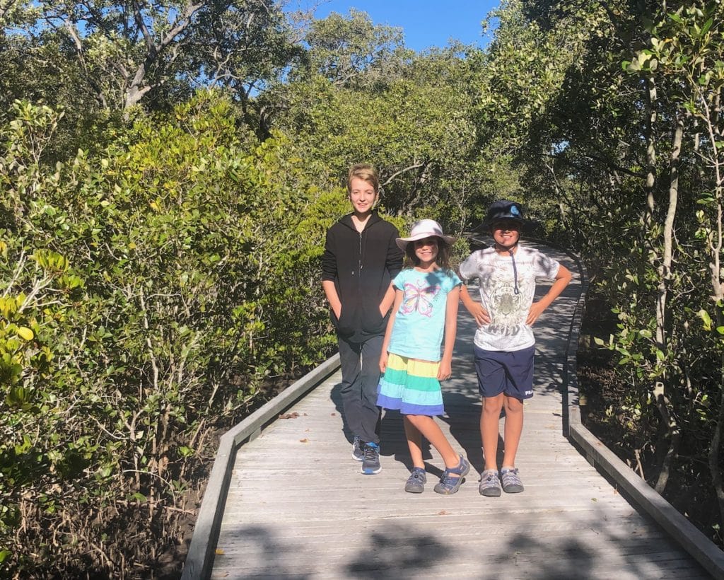 Nudgee Beach boardwalk