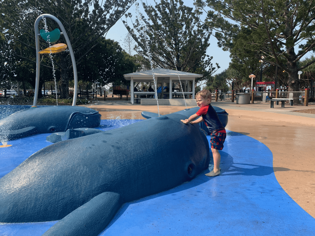 Wynnum Whale Park new whales