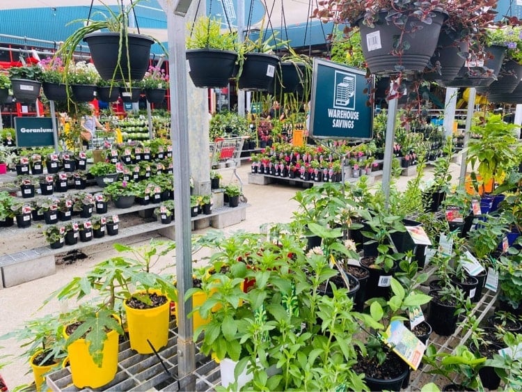 Bunnings Garden Centre