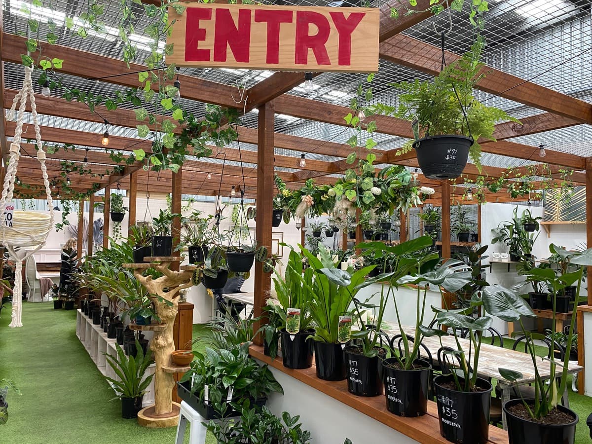 Vend Marketplace - nursery virginia