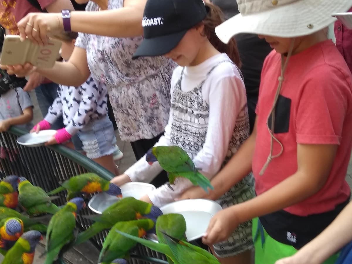 Things to do on the Gold Coast with kids - Currumbin Wildlife Sanctuary