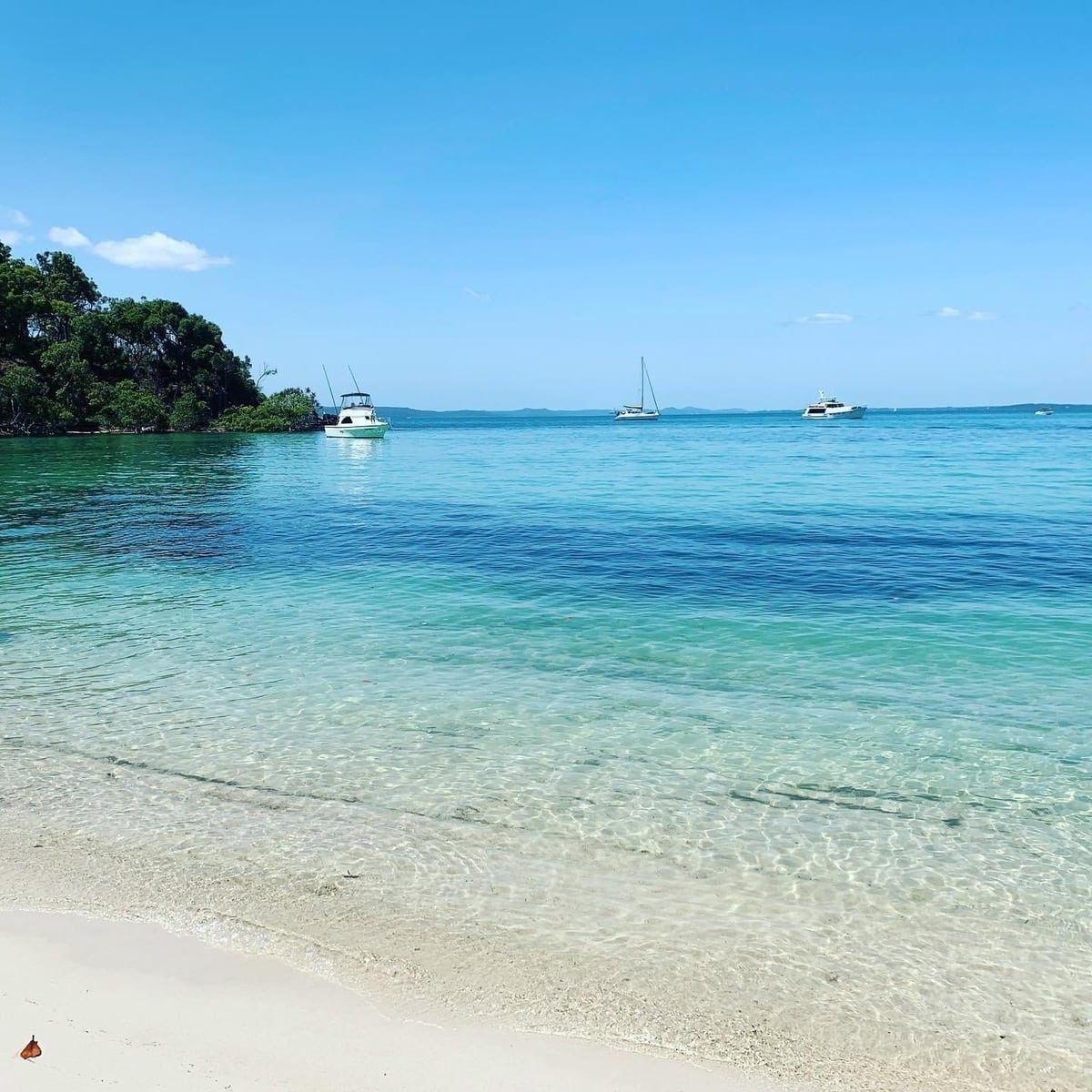 Peel island near brisbane