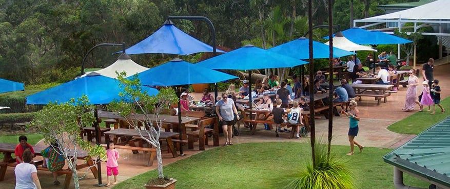 child-friendly restaurants Mt Tamborine