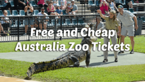 discount Australia Zoo tickets