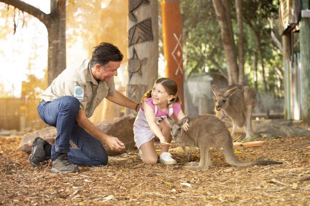 patting the wallaby at Dreamworld Corroboree