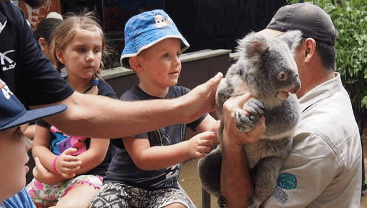 cheap and discount dreamworld tickets