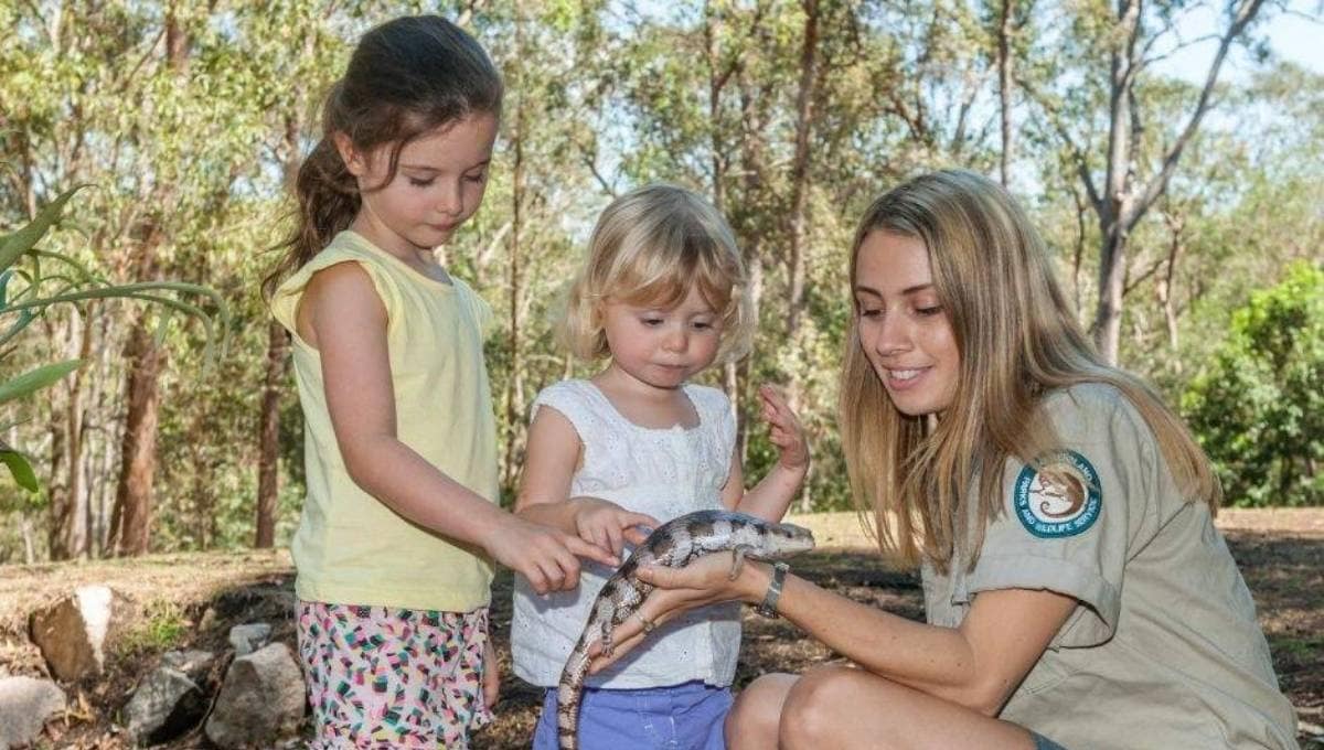 Walkabout Creek Discovery Centre