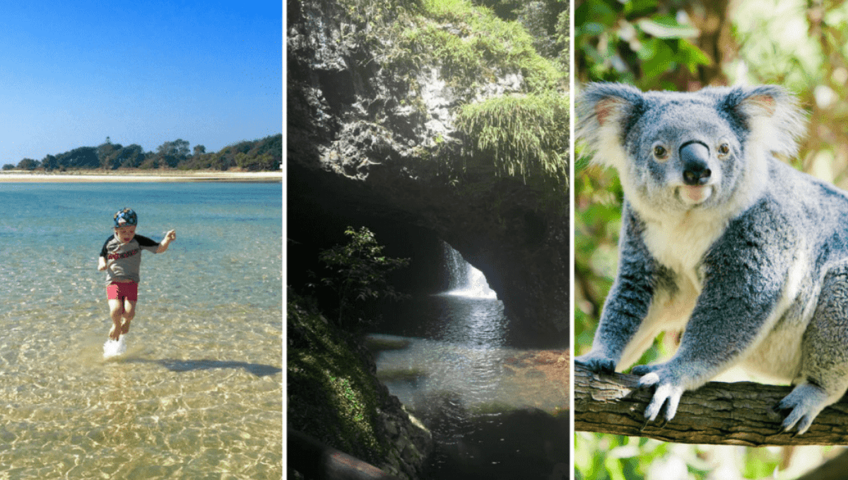 best things to do on the Gold Coast with kids