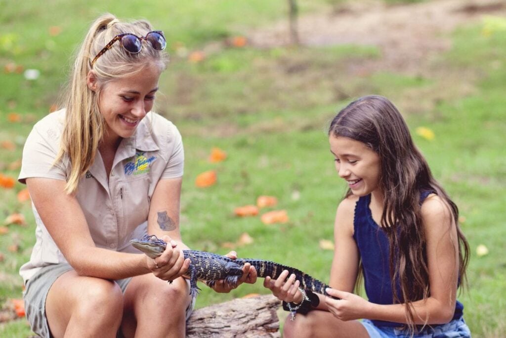 Wildlife HQ Zoo crocodile wild encounter