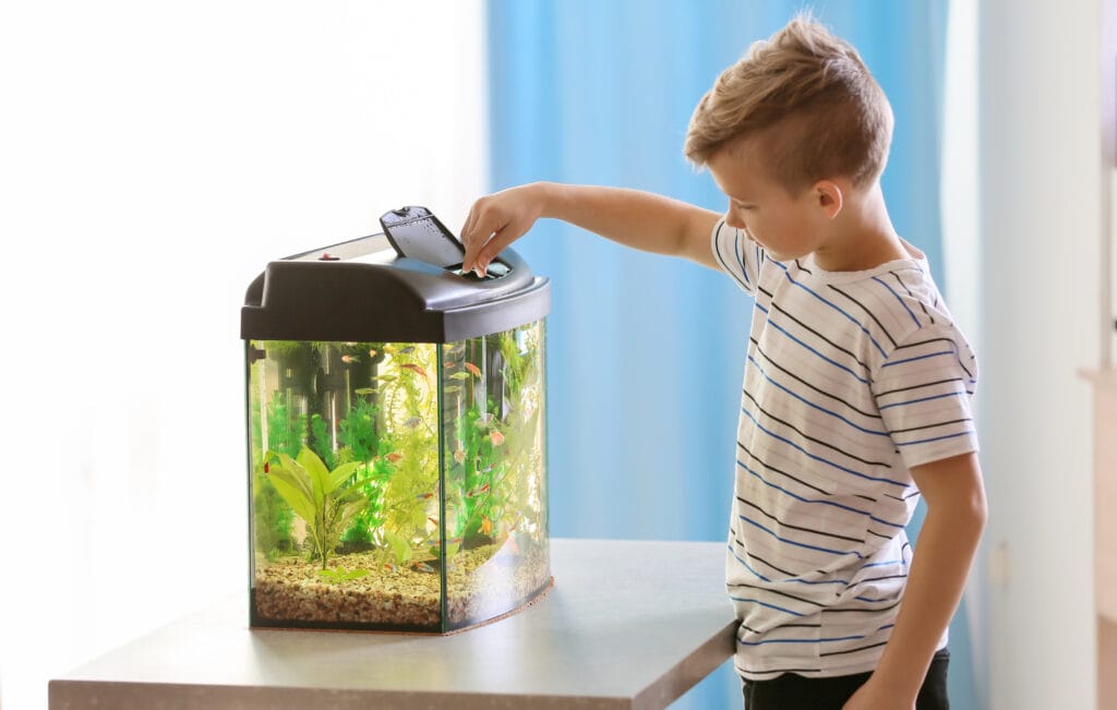 Child feeding fish in aquarium