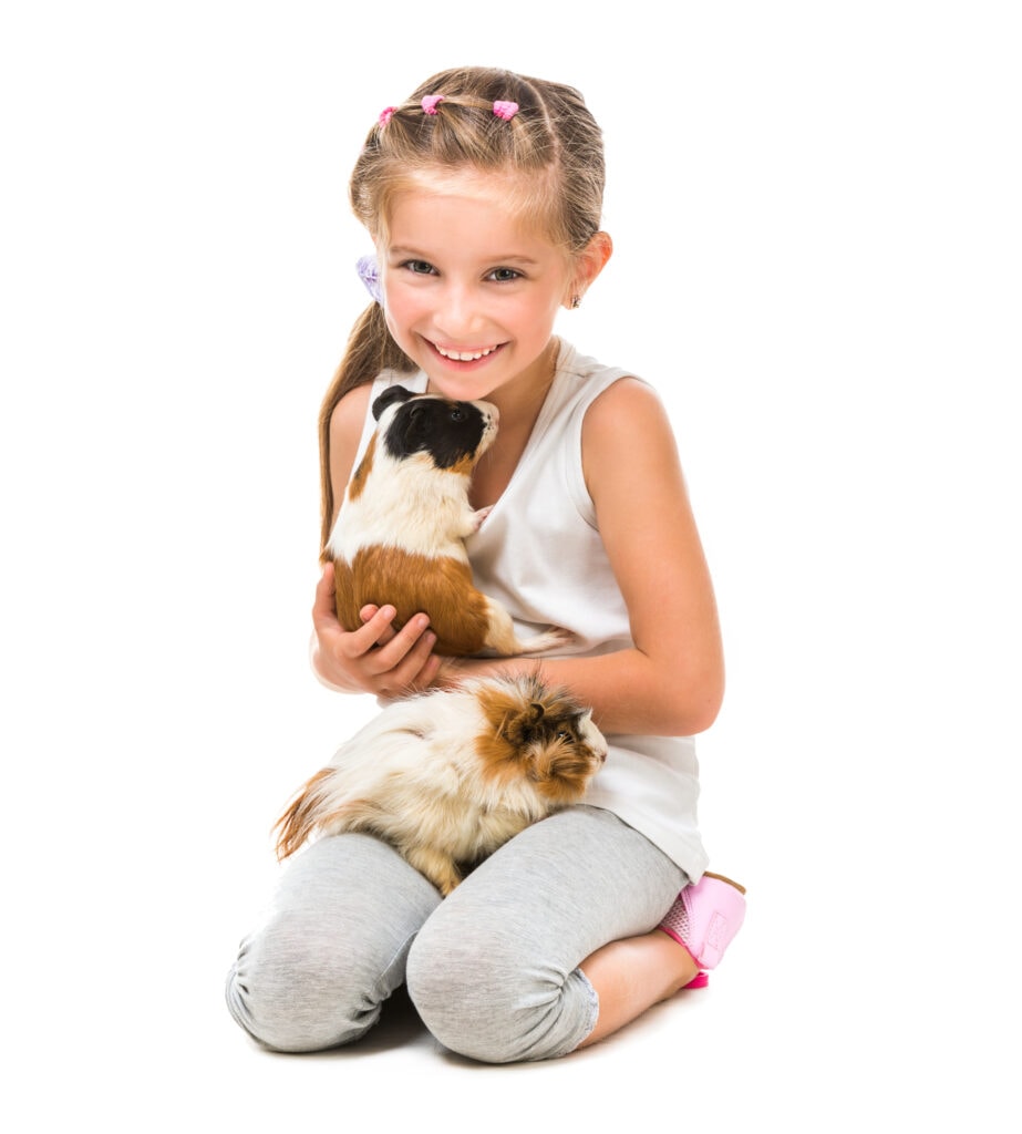 child with guinea pigs