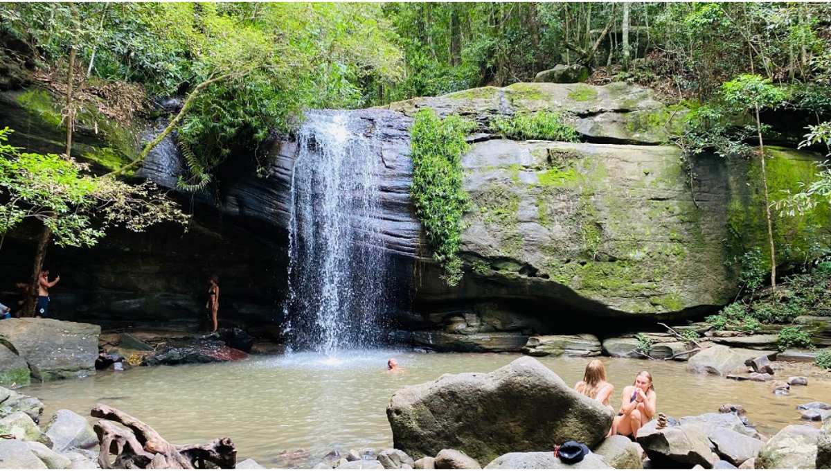 Buderim Falls (aka Serenity Falls) and Buderim Forest Park with Kids