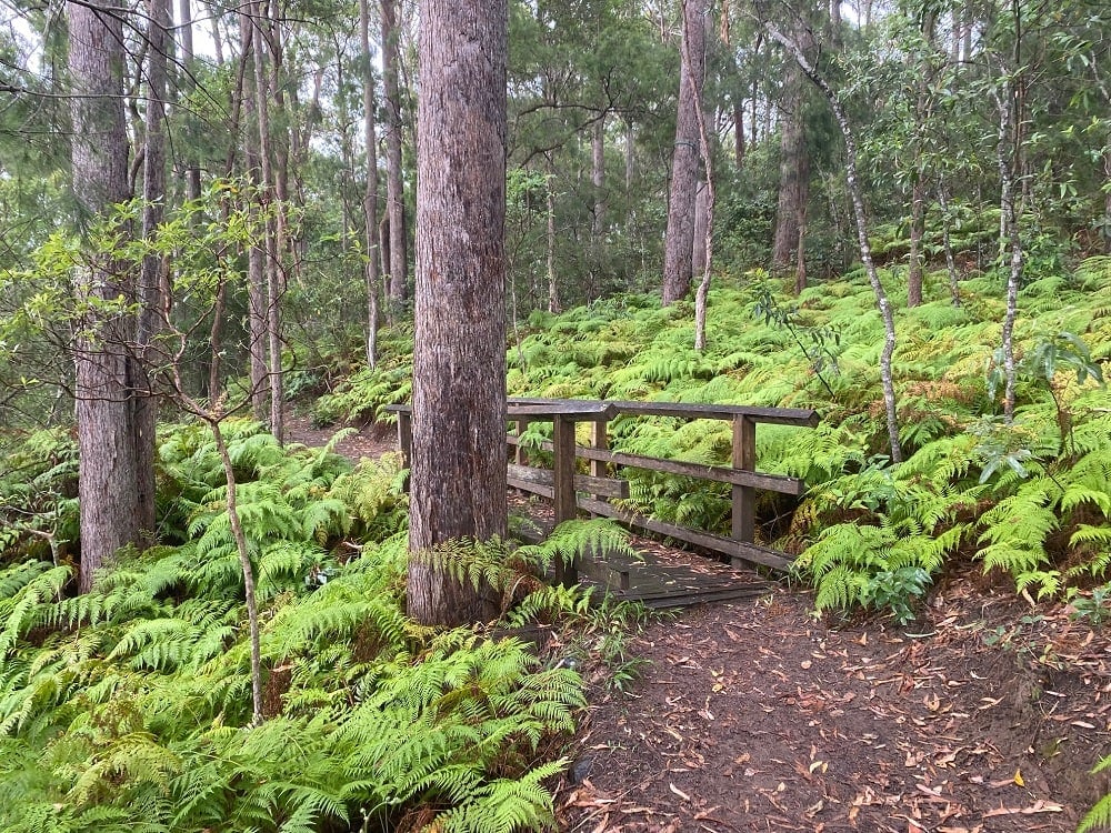 Ewen Maddock Dam walking track