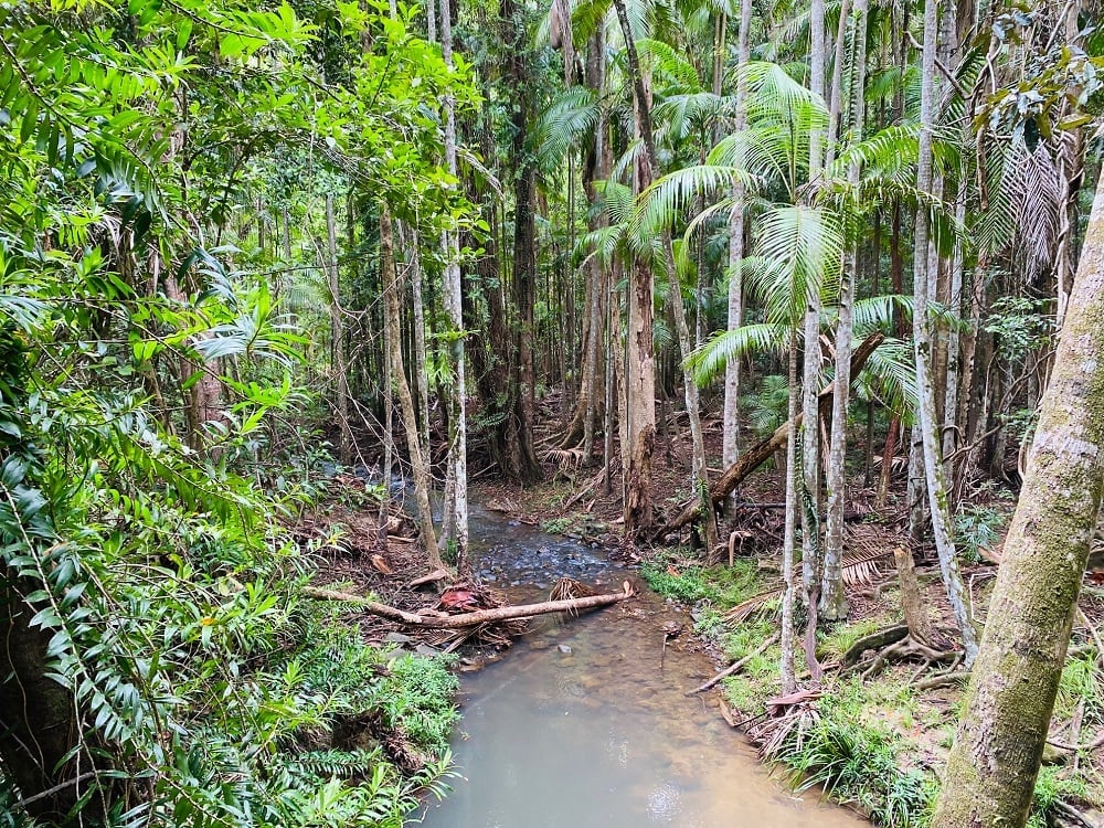 Martins Creek feeds Buderim Falls