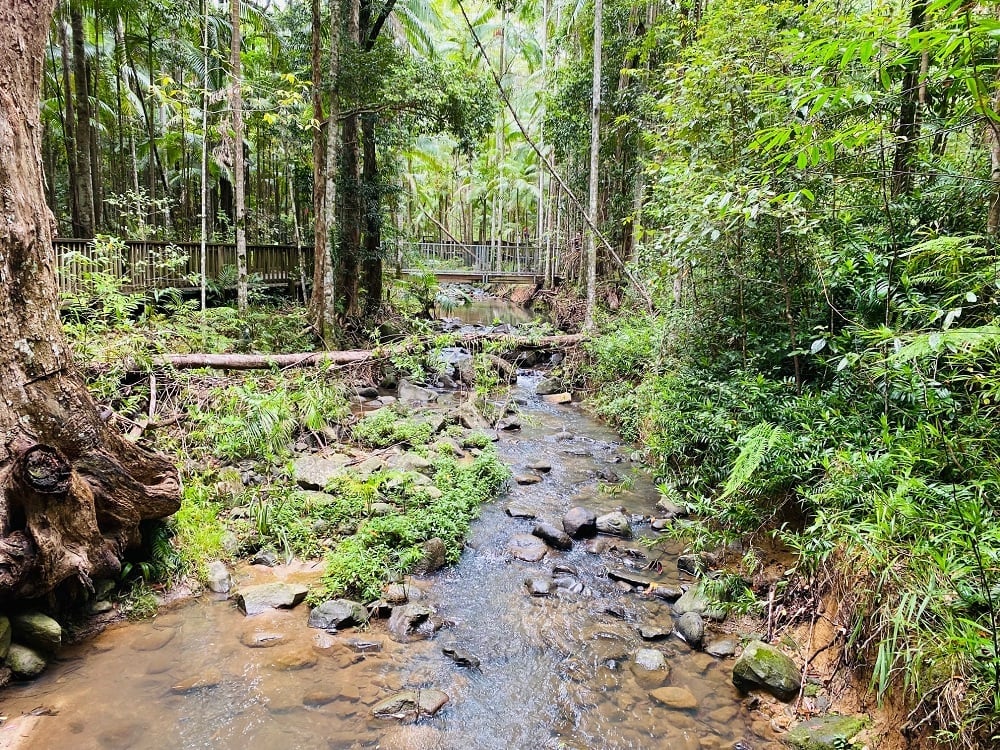 Martins Creek feeds Buderim Falls