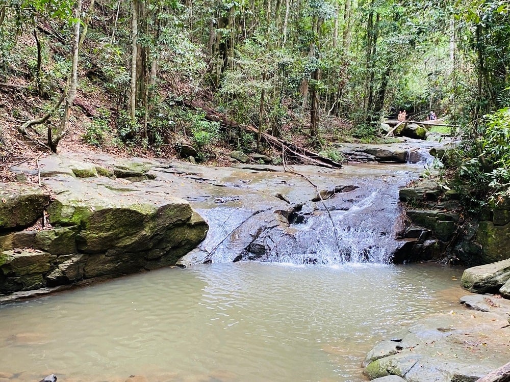 Martins Creek feeds Buderim Falls