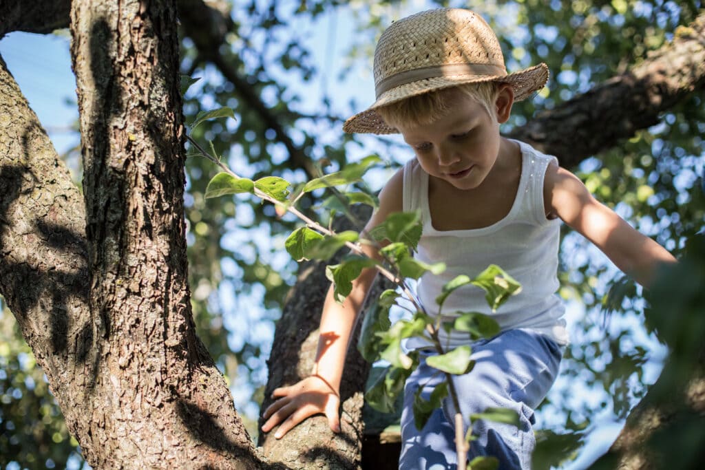 Boy climbing a tree