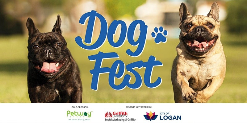 Dog Fest