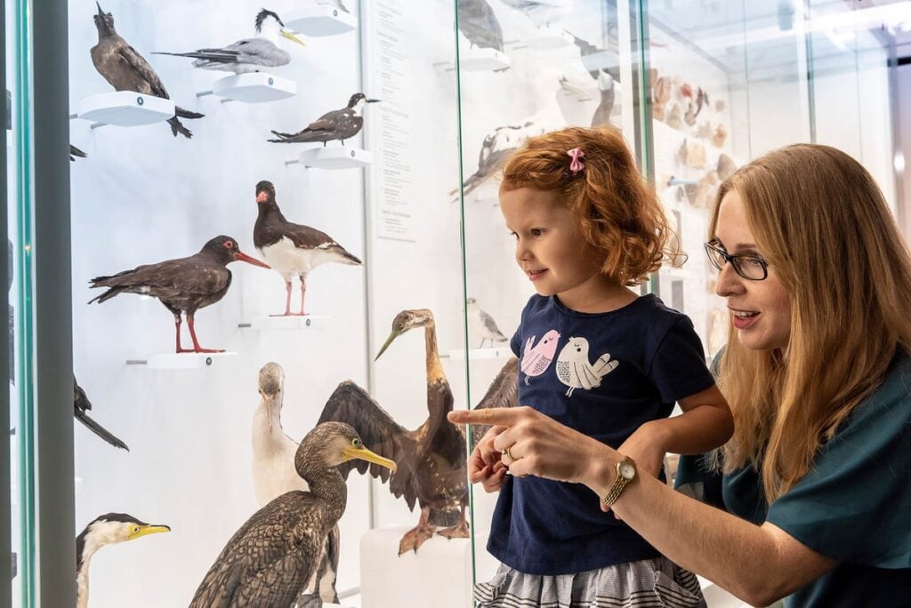 Qld Museum Discovery Centre