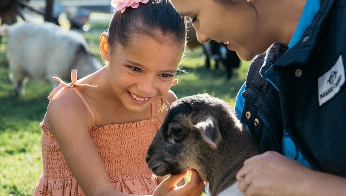 Paradise Country is the perfect spot for animal lovers.