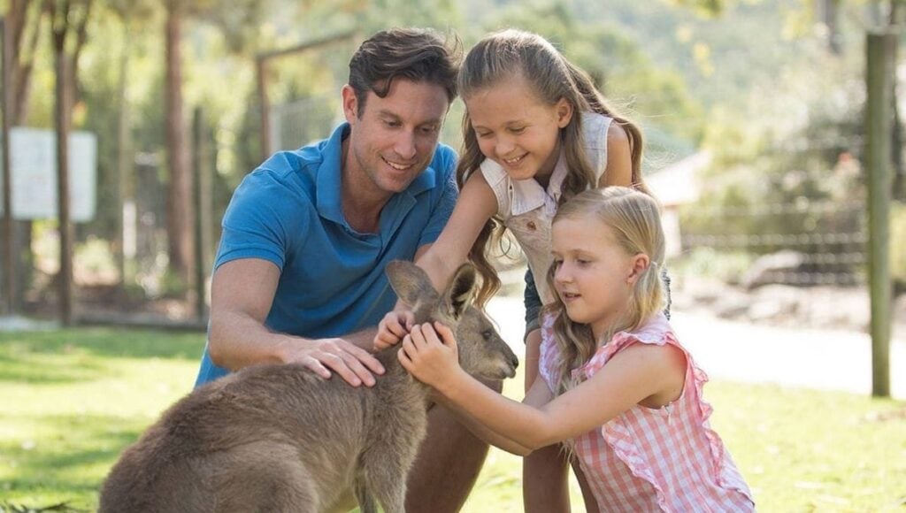 Paradise Country Kangaroos are super friendly and love a pat.