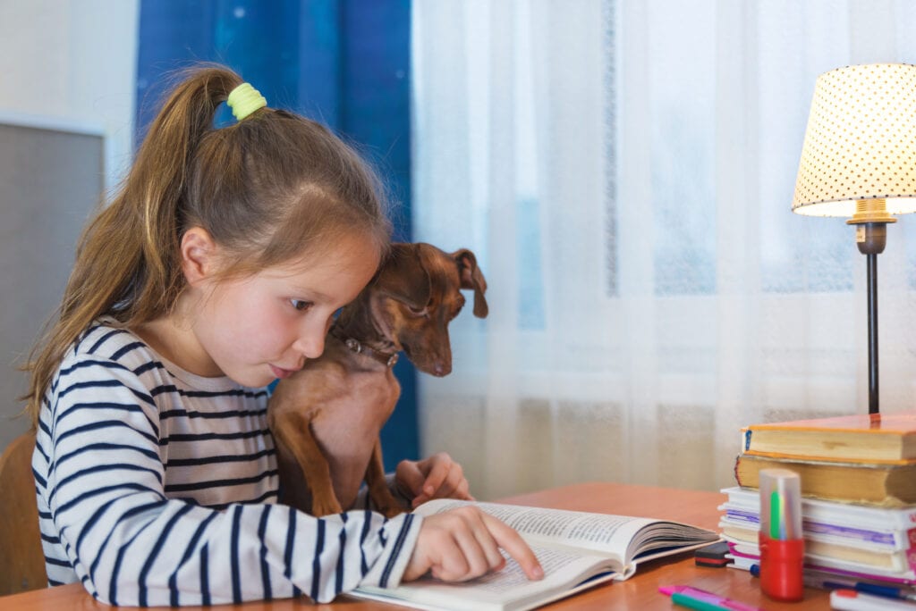 Child reads to her dog
