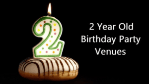 2 year old party venues