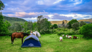 Camping Toowoomba