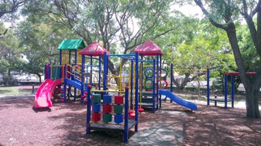 Things to do Near Brisbane Airport During a Layover, TC Beirne Park