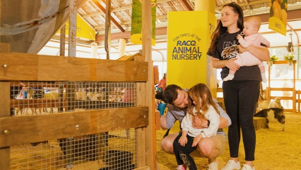 Ekka for toddlers is all about snacks, rides and animals!