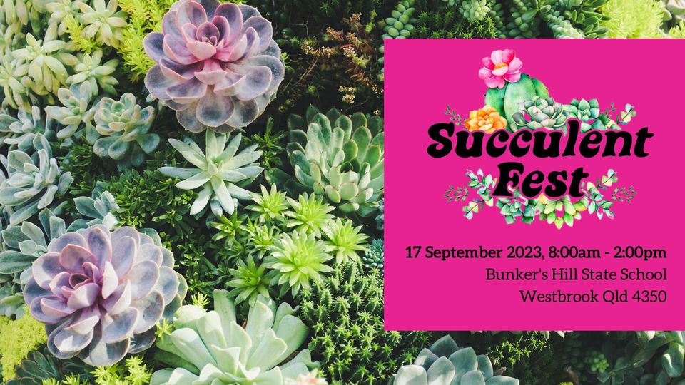 Succulent Fest 2023