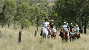 horse riding in Toowoomba