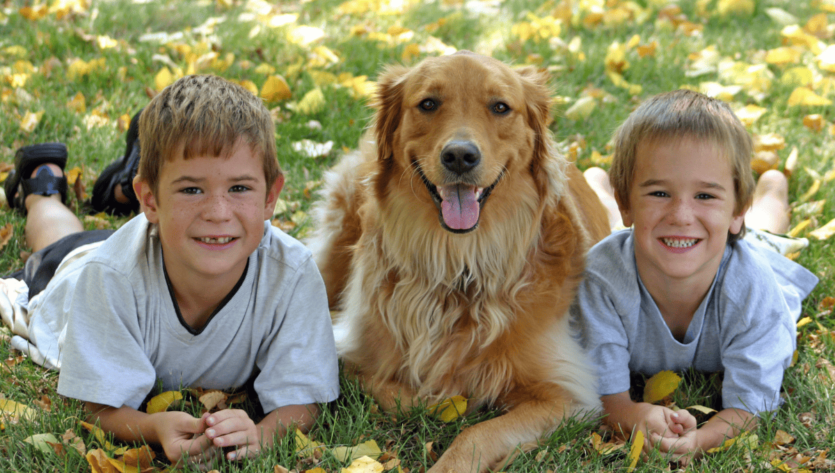 Best Pets for Families