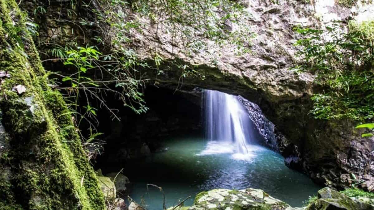 Move to Sunshine Coast Hinterland National Parks