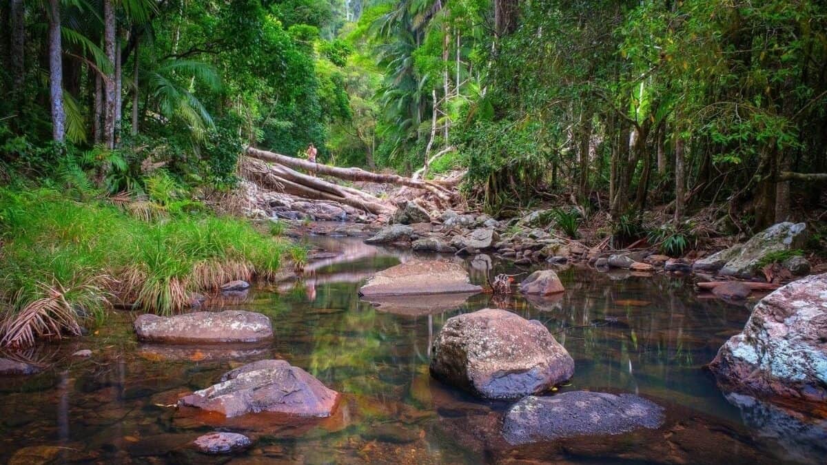 Moving to Queensland Nature